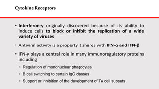 Cytokine Receptors
• Interferon-γ originally discovered because of its ability to
induce cells to block or inhibit the replication of a wide
variety of viruses
• Antiviral activity is a property it shares with IFN-α and IFN-β
• IFN-γ plays a central role in many immunoregulatory proteins
including
• Regulation of mononuclear phagocytes
• B cell switching to certain IgG classes
• Support or inhibition of the development of Tн cell subsets
 