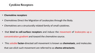 Cytokine Receptors
• Chemokine receptors
• Chemokines Direct the Migration of Leukocytes through the Body.
• Chemokines are a structurally related family of small cytokines.
• that bind to cell-surface receptors and induce the movement of leukocytes up a
concentration gradient and toward the chemokine source.
• This soluble factor-directed cell movement is known as chemotaxis, and molecules
that can elicit such movement are referred to as chemo-attractants.
 