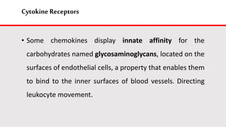 Cytokine Receptors
• Some chemokines display innate affinity for the
carbohydrates named glycosaminoglycans, located on the
surfaces of endothelial cells, a property that enables them
to bind to the inner surfaces of blood vessels. Directing
leukocyte movement.
 