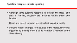 Cytokine receptors initiate signaling
• Although some cytokine receptors lie outside the class I and
class II families, majority are included within these two
families.
• Class I and class II cytokine receptors lack signaling motifs
• Unifying model emerged from studies of the molecular events
triggered by binding of IFN-γ to its receptor, a member of the
Class II family
 