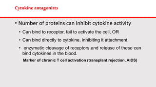 Cytokine antagonists
• Number of proteins can inhibit cytokine activity
• Can bind to receptor, fail to activate the cell, OR
• Can bind directly to cytokine, inhibiting it attachment
• enzymatic cleavage of receptors and release of these can
bind cytokines in the blood.
Marker of chronic T cell activation (transplant rejection, AIDS)
 