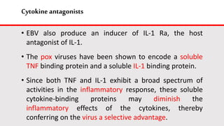Cytokine antagonists
• EBV also produce an inducer of IL-1 Ra, the host
antagonist of IL-1.
• The pox viruses have been shown to encode a soluble
TNF binding protein and a soluble IL-1 binding protein.
• Since both TNF and IL-1 exhibit a broad spectrum of
activities in the inflammatory response, these soluble
cytokine-binding proteins may diminish the
inflammatory effects of the cytokines, thereby
conferring on the virus a selective advantage.
 