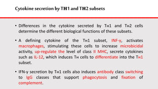 Cytokine secretion by Tн1 andTн2 subsets
• Differences in the cytokine secreted by Tн1 and Tн2 cells
determine the different biological functions of these subsets.
• A defining cytokine of the Tн1 subset, INF-γ, activates
macrophages, stimulating these cells to increase microbicidal
activity, up-regulate the level of class II MHC, secrete cytokines
such as IL-12, which induces Tн cells to differentiate into the Tн1
subset.
• IFN-γ secretion by Tн1 cells also induces antibody class switching
to IgG classes that support phagocytosis and fixation of
complement.
 
