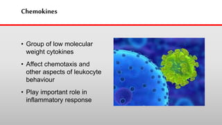 Chemokines
• Group of low molecular
weight cytokines
• Affect chemotaxis and
other aspects of leukocyte
behaviour
• Play important role in
inflammatory response
 