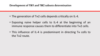 Development of Tн1 and Tн2 subsets determination
• The generation of Tн2 cells depends critically on IL-4.
• Exposing naive helper cells to IL-4 at the beginning of an
immune response causes them to differentiate into Tн2 cells.
• This influence of IL-4 is predominant in directing Tн cells to
the Tн2 route.
 