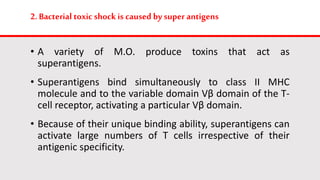 2. Bacterial toxic shock is caused by super antigens
• A variety of M.O. produce toxins that act as
superantigens.
• Superantigens bind simultaneously to class II MHC
molecule and to the variable domain Vβ domain of the T-
cell receptor, activating a particular Vβ domain.
• Because of their unique binding ability, superantigens can
activate large numbers of T cells irrespective of their
antigenic specificity.
 