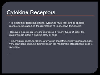 Cytokine Receptors
• To exert their biological effects, cytokines must first bind to specific
receptors expressed on the membrane of responsive target cells.
•Because these receptors are expressed by many types of cells, the
cytokines can affect a diverse array of cells.
• Biochemical characterization of cytokine receptors initially progressed at a
very slow pace because their levels on the membrane of responsive cells is
quite low.
•
 