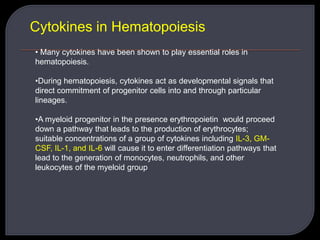 Cytokines in Hematopoiesis
• Many cytokines have been shown to play essential roles in
hematopoiesis.
•During hematopoiesis, cytokines act as developmental signals that
direct commitment of progenitor cells into and through particular
lineages.
•A myeloid progenitor in the presence erythropoietin would proceed
down a pathway that leads to the production of erythrocytes;
suitable concentrations of a group of cytokines including IL-3, GM-
CSF, IL-1, and IL-6 will cause it to enter differentiation pathways that
lead to the generation of monocytes, neutrophils, and other
leukocytes of the myeloid group
 