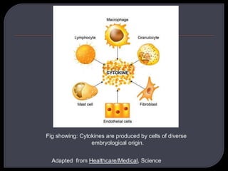 Fig showing: Cytokines are produced by cells of diverse
embryological origin.
Adapted from Healthcare/Medical, Science
 