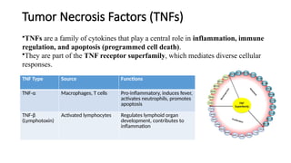 Tnf Types Cytokines and types in immunology of fish.pptx