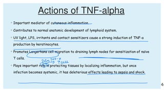 Comprehensive Overview of Cytokines: Functions, Signaling, and ...