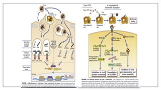 Cytokines and Chemokines.pdf