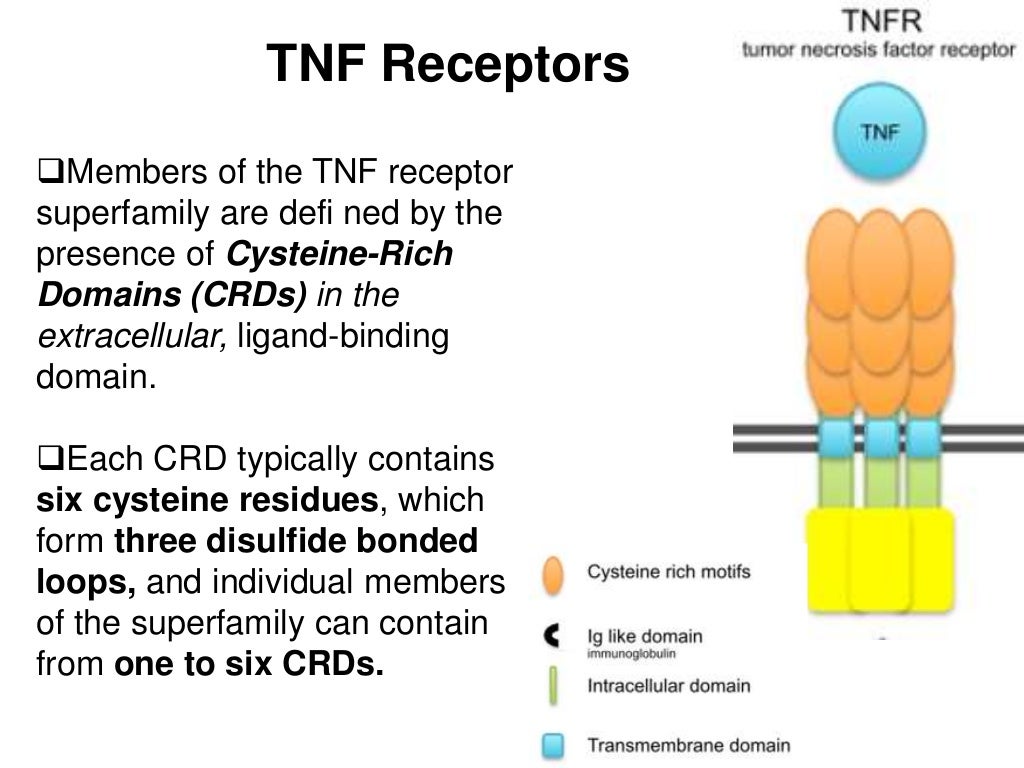 Cytokine signaling pathway