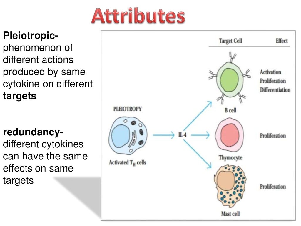 Cytokine signaling pathway