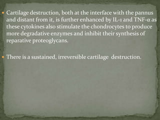  Cartilage destruction, both at the interface with the pannus
and distant from it, is further enhanced by IL-1 and TNF-α as
these cytokines also stimulate the chondrocytes to produce
more degradative enzymes and inhibit their synthesis of
reparative proteoglycans.
 There is a sustained, irreversible cartilage destruction.
 