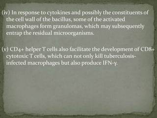 (iv) In response to cytokines and possibly the constituents of
the cell wall of the bacillus, some of the activated
macrophages form granulomas, which may subsequently
entrap the residual microorganisms.
(v) CD4+ helper T cells also facilitate the development of CD8+
cytotoxic T cells, which can not only kill tuberculosis-
infected macrophages but also produce IFN-γ.
 