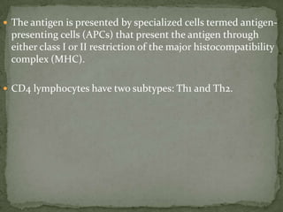  The antigen is presented by specialized cells termed antigen-
presenting cells (APCs) that present the antigen through
either class I or II restriction of the major histocompatibility
complex (MHC).
 CD4 lymphocytes have two subtypes: Th1 and Th2.
 