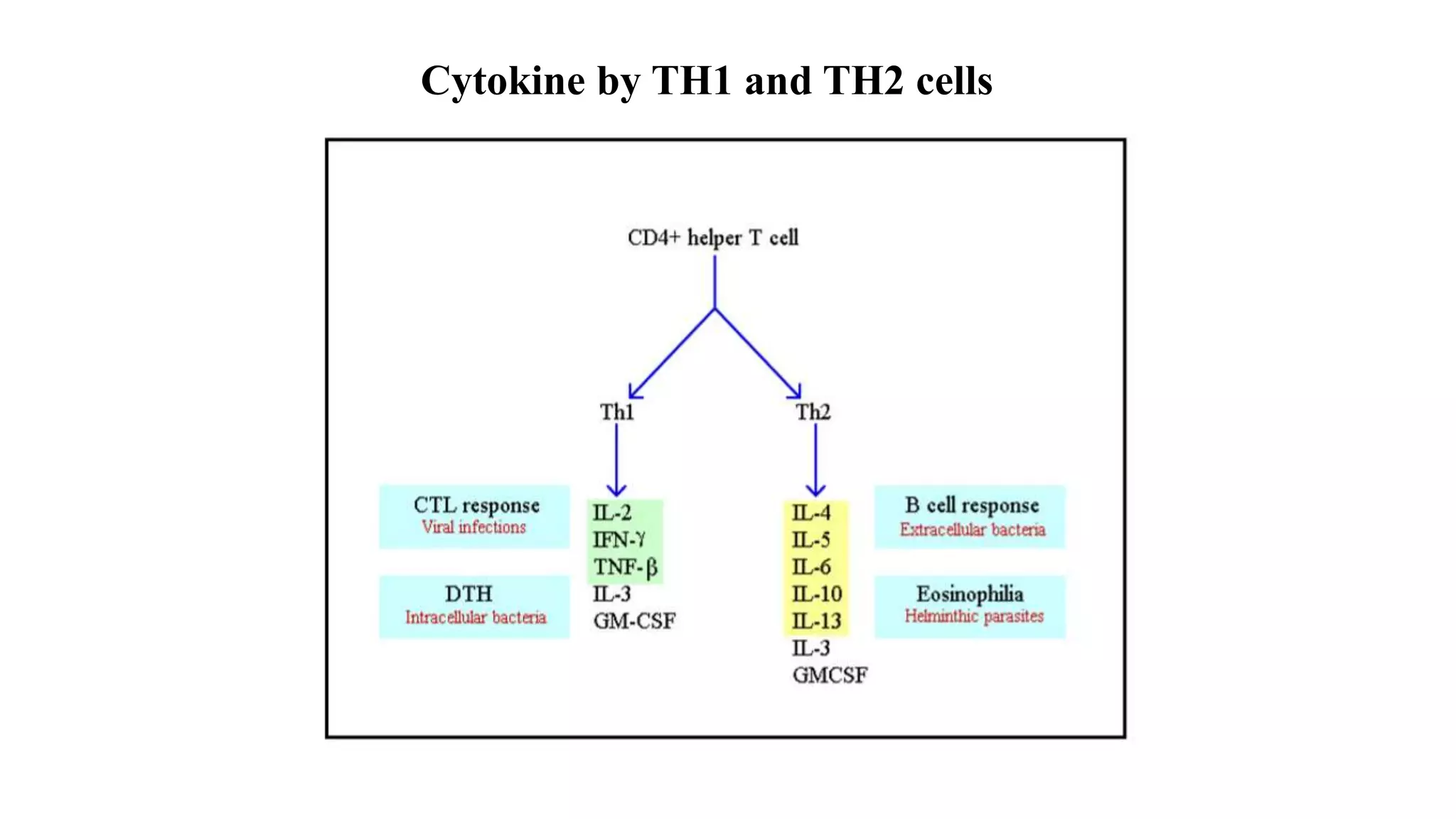 Role of Cytokines in immuneregulation | PPTX