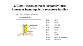 Role of Cytokines in immuneregulation | PPTX