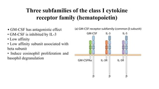 Role of Cytokines in immuneregulation | PPTX