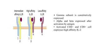 Role of Cytokines in immuneregulation | PPTX