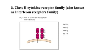 Role of Cytokines in immuneregulation | PPTX