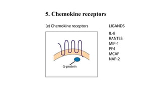 Role of Cytokines in immuneregulation | PPTX