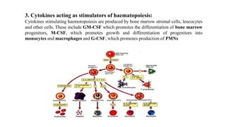 Role of Cytokines in immuneregulation | PPTX