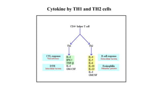Role of Cytokines in immuneregulation | PPTX
