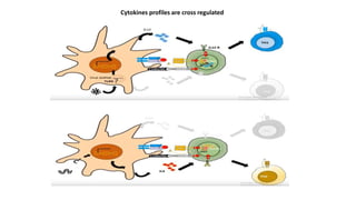 Role of Cytokines in immuneregulation | PPTX