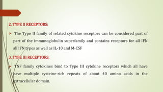 2. TYPE II RECEPTORS:
 The Type II family of related cytokine receptors can be considered part of
part of the immunoglobulin superfamily and contains receptors for all IFN
all IFN types as well as IL-10 and M-CSF
3. TYPE III RECEPTORS:
 TNF family cytokines bind to Type III cytokine receptors which all have
have multiple cysteine-rich repeats of about 40 amino acids in the
extracellular domain.
 
