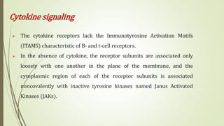 Cytokine signaling
 The cytokine receptors lack the Immunotyrosine Activation Motifs
(ITAMS) characteristic of B- and t-cell receptors.
 In the absence of cytokine, the receptor subunits are associated only
loosely with one another in the plane of the membrane, and the
cytoplasmic region of each of the receptor subunits is associated
noncovalently with inactive tyrosine kinases named Janus Activated
Kinases (JAKs).
 