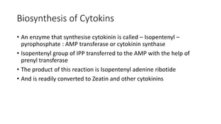 Biosynthesis of Cytokins
• An enzyme that synthesise cytokinin is called – Isopentenyl –
pyrophosphate : AMP transferase or cytokinin synthase
• Isopentenyl group of IPP transferred to the AMP with the help of
prenyl transferase
• The product of this reaction is Isopentenyl adenine ribotide
• And is readily converted to Zeatin and other cytokinins
 