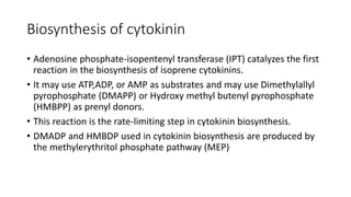 Biosynthesis of cytokinin
• Adenosine phosphate-isopentenyl transferase (IPT) catalyzes the first
reaction in the biosynthesis of isoprene cytokinins.
• It may use ATP,ADP, or AMP as substrates and may use Dimethylallyl
pyrophosphate (DMAPP) or Hydroxy methyl butenyl pyrophosphate
(HMBPP) as prenyl donors.
• This reaction is the rate-limiting step in cytokinin biosynthesis.
• DMADP and HMBDP used in cytokinin biosynthesis are produced by
the methylerythritol phosphate pathway (MEP)
 