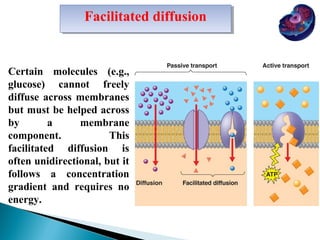 Facilitated diffusion
Facilitated diffusion

Certain molecules (e.g.,
glucose) cannot freely
diffuse across membranes
but must be helped across
by
a
membrane
component.
This
facilitated diffusion is
often unidirectional, but it
follows a concentration
gradient and requires no
energy.

 