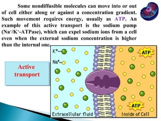 Some nondiffusible molecules can move into or out
of cell either along or against a concentration gradient.
Such movement requires energy, usually as ATP. An
example of this active transport is the sodium pump
(Na+/K+-ATPase), which can expel sodium ions from a cell
even when the external sodium concentration is higher
than the internal one.

Active
Active
transport
transport

 