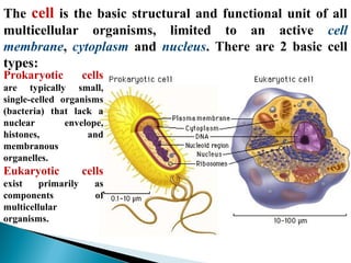 The cell is the basic structural and functional unit of all
multicellular organisms, limited to an active cell
membrane, cytoplasm and nucleus. There are 2 basic cell
types:
Prokaryotic

cells

are typically small,
single-celled organisms
(bacteria) that lack a
nuclear
envelope,
histones,
and
membranous
organelles.

Eukaryotic
exist
primarily
components
multicellular
organisms.

cells
as
of

 