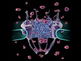 Струкщ

Струкщ

 