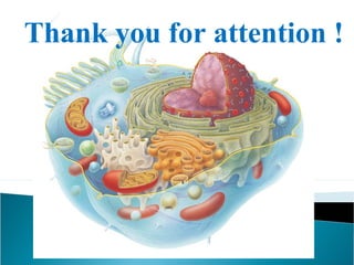 Thank you for attention !

 