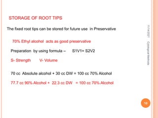 Why is the root tip placed in acetic alcohol?