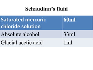 Schaudinn’s fluid
Saturated mercuric
chloride solution
60ml
Absolute alcohol 33ml
Glacial acetic acid 1ml
 
