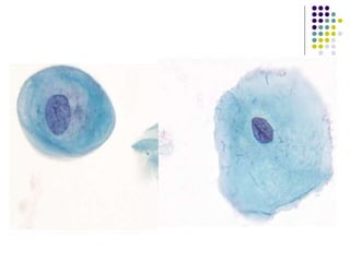 CYTOLOGIC STAINING TECHNIQUES.ppt