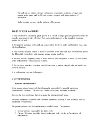 The cell sap is a mixture of many substances; concentrates solutions of sugar, salt,
organic acids, gases such as C02 and oxygen, pigments and waste products of
metabolism.
It also contains enzymes similar to those of lysosomes.
ROLES OF CELL VACUOLES
1. They are involved in primary plant growth. It is a result of turgor pressure generated inside the
vacuoles as a result of entry of water. This causes cell expansion as the tonoplast is pressed
against the cell wall.
2. The pigment contained in the cell sap is responsible for flower color and therefore play a key
role to pollination.
3. They contain enzymes similar to those of lysosomes when plant cell dies. The tonoplast looses
the differential permeability and enzymes escape causing autolysis.
4. Vacuole acts as a temporary store of waste products such as crystals of waste calcium oxalate,
toxins and metabolic waste products of plants.
5. The vacuoles sometimes functions as food reserves e.g. sucrose mineral salts and insulin are
stored in vacuoles.
6. In prokaryotes it serves for buoyancy.
6. MITOCHONDRIA
Structure of mitochondria
It is a sausage shaped or an oval shaped organelle surrounded by a double membrane
(mitochondrial envelope). The envelope consists of the outer and inner membrane.
Between the two membranes there is a space, the intermembranal space.
The outer membrane is smooth while the inner membrane is coiled to form t=surface area for
attachment of membranes.
The ground substance of the mitochondrion is called matrix. This contains
1. Several enzymes responsible for Krebs cycle.
2. Circular DNA that resembles that of prokaryotic cells. It is for self replication of
mitochondria.
 