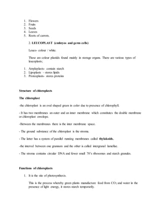 1. Flowers
2. Fruits
3. Seeds
4. Leaves
5. Roots of carrots.
2. LEUCOPLAST (embryos and germ cells)
Leuco- colour / white.
These are colour plastids found mainly in storage organs. There are various types of
leucoplasts;
1. Amyloplasts- contain starch
2. Lipoplasts – stores lipids
3. Proteoplasts- stores proteins
Structure of chloroplasts
The chloroplast
-the chloroplast is an oval shaped green in color due to presence of chlorophyll.
- It has two membranes an outer and an inner membrane which constitutes the double membrane
or chloroplast envelope.
-Between the membranes there is the inter membrane space.
- The ground substance of the chloroplast is the stroma.
- The latter has a system of parallel running membranes called thylakoids.
-the interval between one grannum and the other is called intergranal lamellae.
- The stroma contains circular DNA and fewer small 70’s ribosomes and starch granules.
Functions of chloroplasts
1. It is the site of photosynthesis.
This is the process whereby green plants manufacture food from CO2 and water in the
presence of light energy, it stores starch temporarily.
 