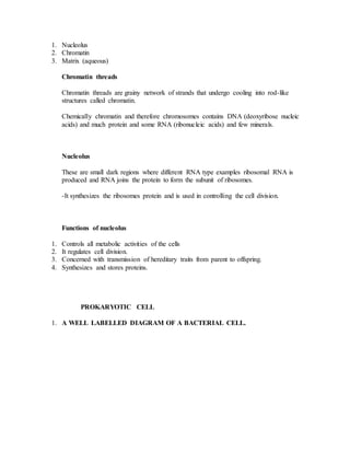 1. Nucleolus
2. Chromatin
3. Matrix (aqueous)
Chromatin threads
Chromatin threads are grainy network of strands that undergo cooling into rod-like
structures called chromatin.
Chemically chromatin and therefore chromosomes contains DNA (deoxyribose nucleic
acids) and much protein and some RNA (ribonucleic acids) and few minerals.
Nucleolus
These are small dark regions where different RNA type examples ribosomal RNA is
produced and RNA joins the protein to form the subunit of ribosomes.
-It synthesizes the ribosomes protein and is used in controlling the cell division.
Functions of nucleolus
1. Controls all metabolic activities of the cells
2. It regulates cell division.
3. Concerned with transmission of hereditary traits from parent to offspring.
4. Synthesizes and stores proteins.
PROKARYOTIC CELL
1. A WELL LABELLED DIAGRAM OF A BACTERIAL CELL.
 