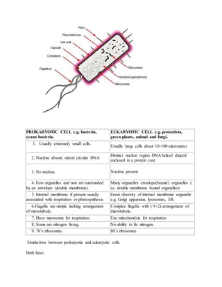 PROKARYOTIC CELL e.g. bacteria,
cyano bacteria.
EUKARYOTIC CELL e.g. protoctista,
green plants, animal and fungi.
1. Usually extremely small cells.
Usually large cells about 10-100 micrometer
2. Nucleus absent, naked circular DNA
Distinct nuclear region DNA helical shaped
enclosed in a protein coat.
3. No nucleus. Nucleus present
4. Few organelles and non are surrounded
by an envelope (double membrane).
Many organelles envelope(bound) organelles (
i.e. double membrane bound organelles)
5. Internal membrane if present usually
associated with respiration or photosynthesis.
Great diversity of internal membrane organelle
e.g. Golgi apparatus, lysosomes, ER.
6.Flagella are simple lacking arrangement
of microtubule.
Complex flagella with ( 9+2) arrangement of
microtubule.
7. Have mesosome for respiration. Use mitochondria for respiration
8. Some are nitrogen fixing. No ability to fix nitrogen.
9. 70’s ribosomes. 80’s ribosomes
Similarities between prokaryotic and eukaryotic cells.
Both have;
 
