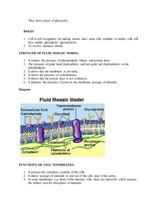 They form a layer of glycocalyx
ROLES
1. Cell to cell recognition (in making tissues since same cells combine so similar cells will
have similar glycolipids/ glycoprotein).
2. To receive chemical stimuli.
STRENGTH OF FLUID MOSAIC MODEL.
1. It realizes the presence of phospholipids bilayer and protein layer.
2. The presence of polar head (hydrophilic) and non polar tail (hydrophobic) in the
phospholipids.
3. It shows that the membrane is not static.
4. It shows the presence of carbohydrates.
5. It shows that the protein layer is not continuous.
6. It indicates the presence of pores in the membrane passage of materials.
Diagram
FUNCTIONS OF CELL MEMBRANES.
1. It protects the cytoplasm contents of the cells.
2. It allows passage of materials in and out of the cells since it has pores.
3. In some membranes e.g. those of the intestine cells, there are microvilli which increase
the surface area for absorption of materials.
 