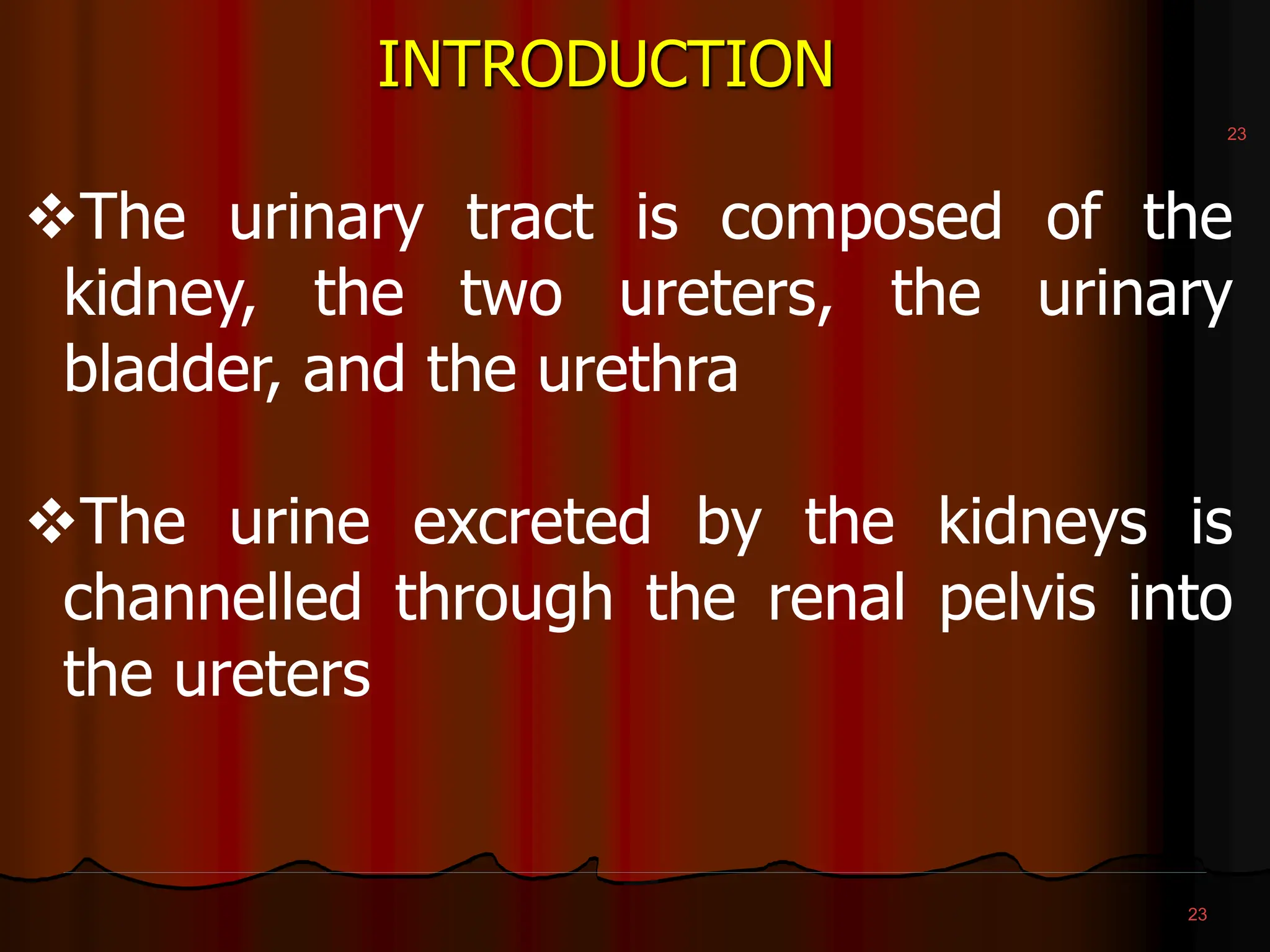Compose Tract Renal cytology. Cell Morphology and identification | PPT