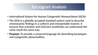 Detailed lecture on Karyotyping analysis | PPTX