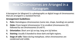Detailed lecture on Karyotyping analysis | PPTX